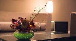 vip -