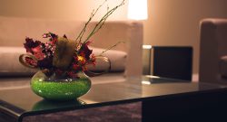 vip -