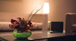 vip -